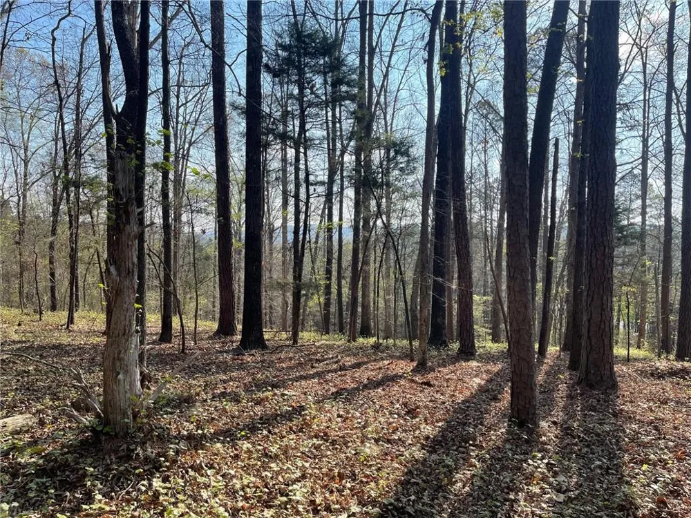 TR 1B Chalcrest Way Cave Spring, GA 30124