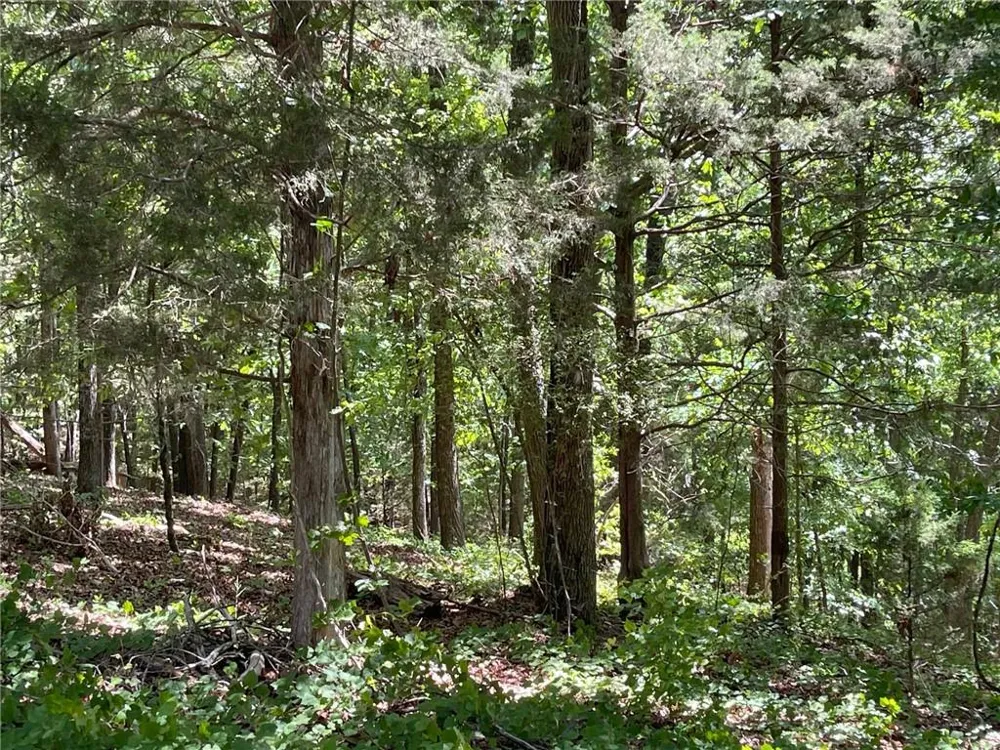 TR 1B Chalcrest Way Cave Spring, GA 30124