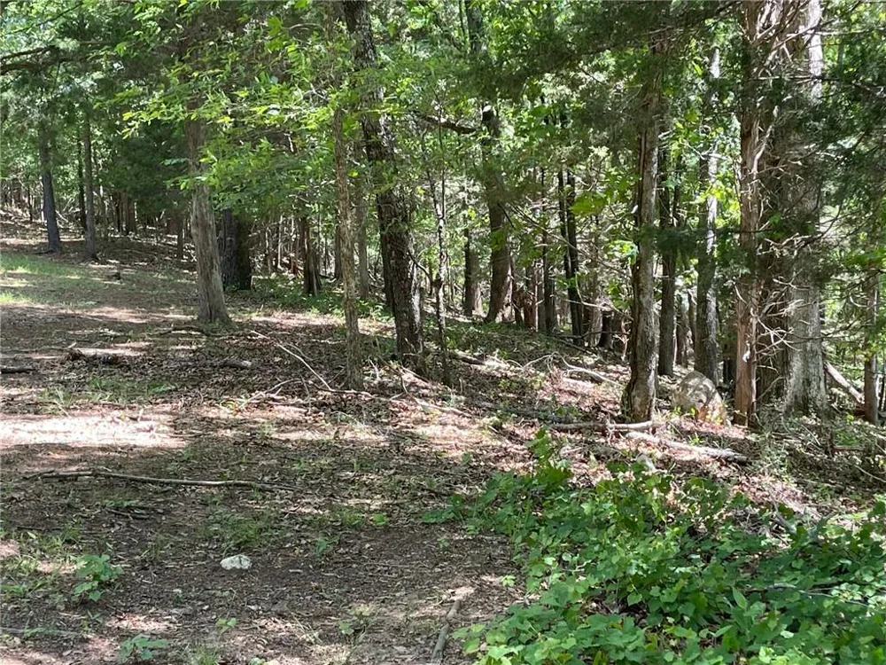 TR 1B Chalcrest Way Cave Spring, GA 30124