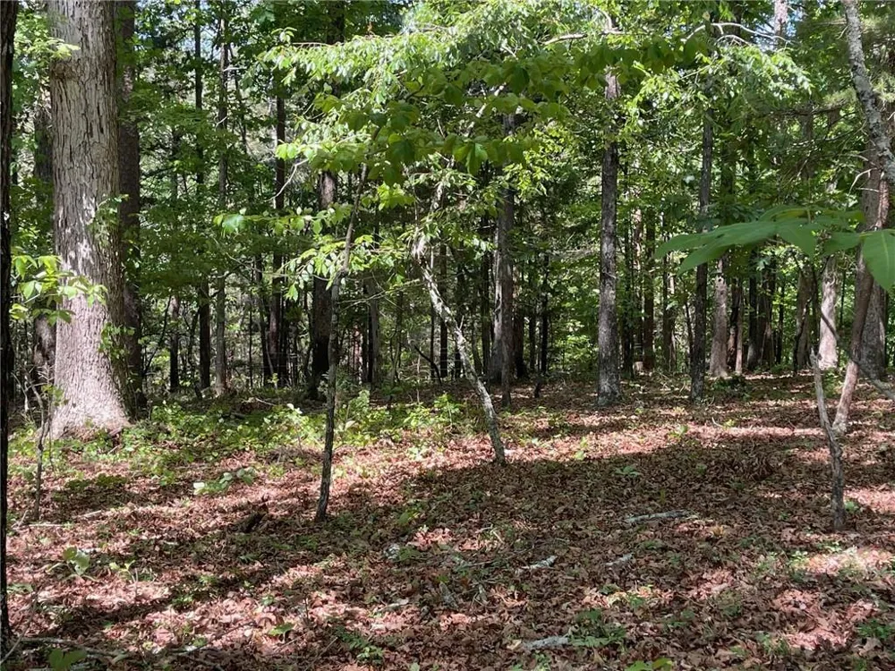TR 1B Chalcrest Way Cave Spring, GA 30124