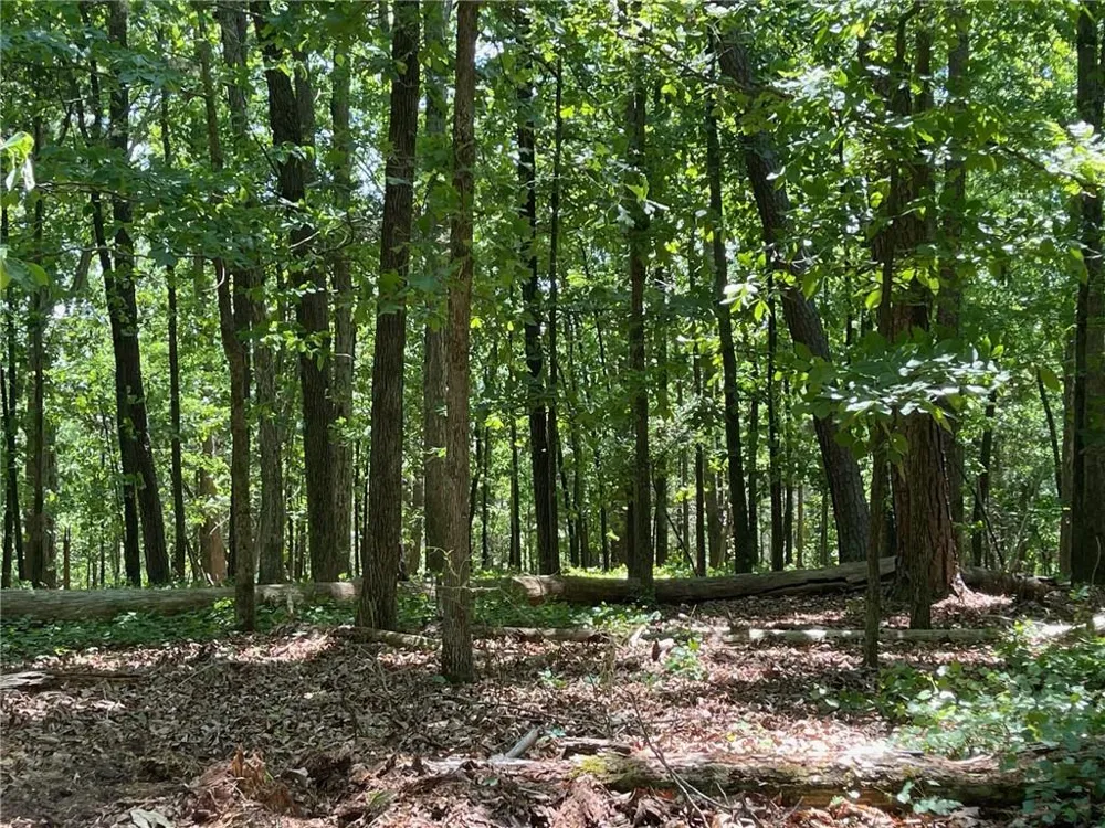 TR 1B Chalcrest Way Cave Spring, GA 30124