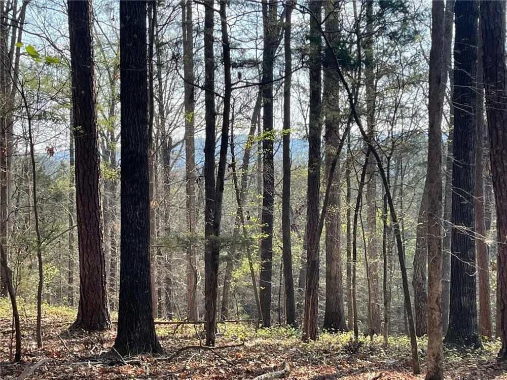 TR 1B Chalcrest Way Cave Spring, GA 30124