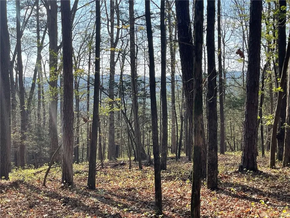 TR 1B Chalcrest Way Cave Spring, GA 30124