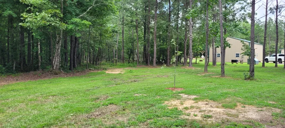 167 Freeman Fielder Rd Stewart, TN 37175