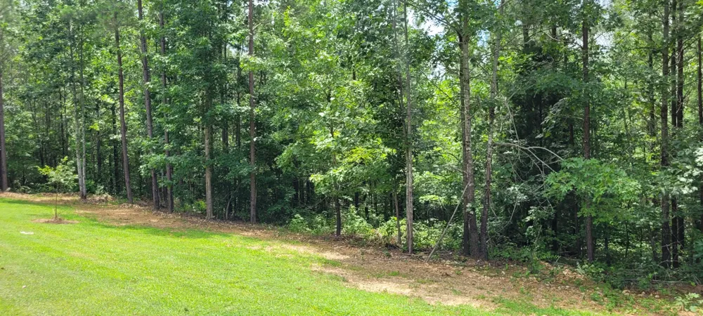 167 Freeman Fielder Rd Stewart, TN 37175