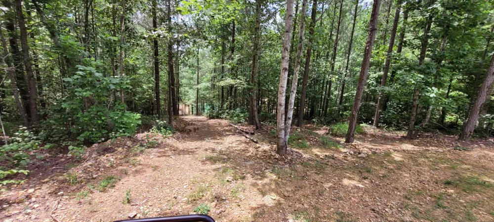 167 Freeman Fielder Rd Stewart, TN 37175