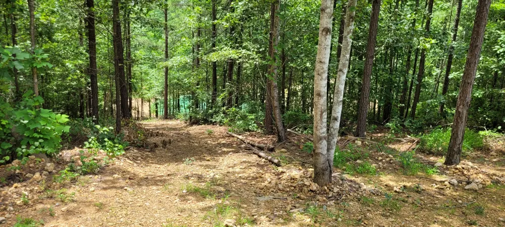167 Freeman Fielder Rd Stewart, TN 37175