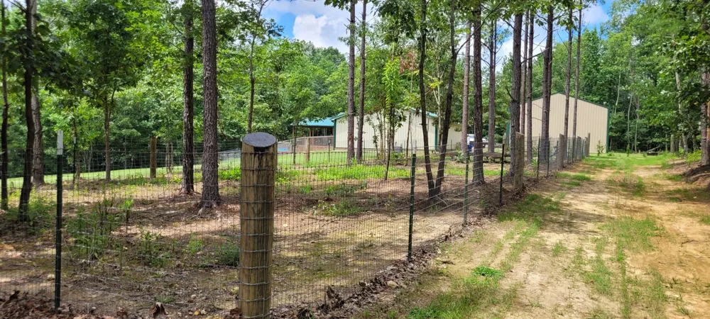 167 Freeman Fielder Rd Stewart, TN 37175