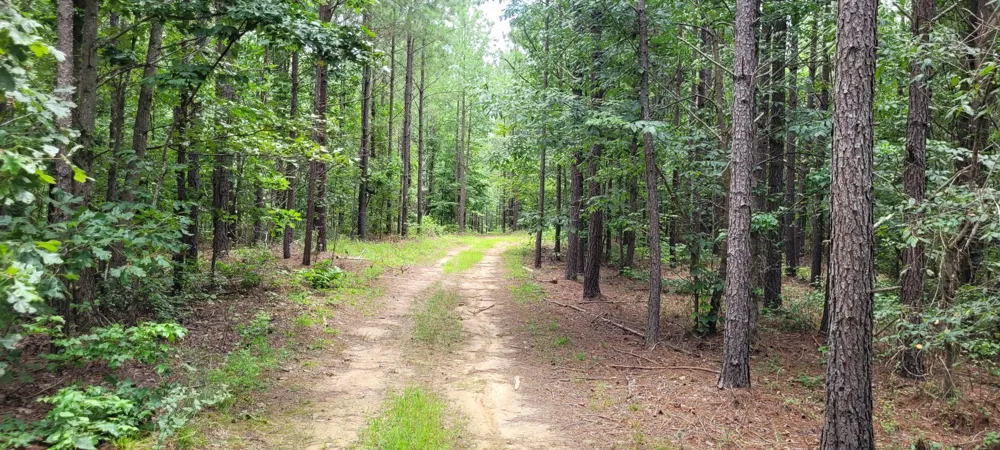167 Freeman Fielder Rd Stewart, TN 37175