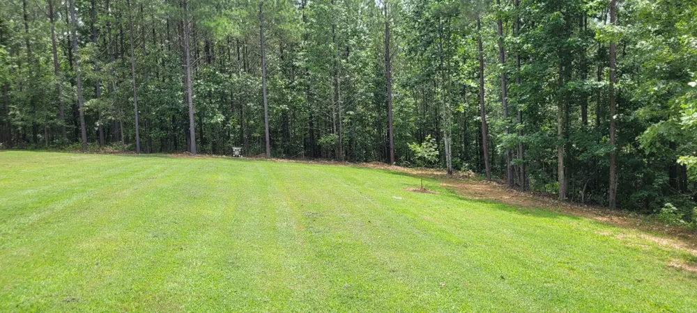 167 Freeman Fielder Rd Stewart, TN 37175
