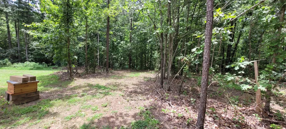 167 Freeman Fielder Rd Stewart, TN 37175