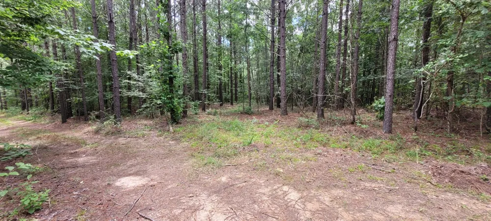 167 Freeman Fielder Rd Stewart, TN 37175