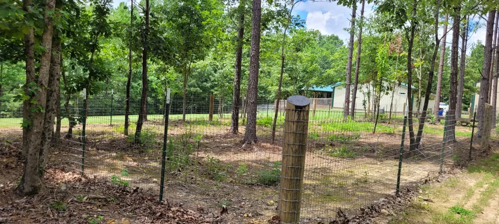 167 Freeman Fielder Rd Stewart, TN 37175