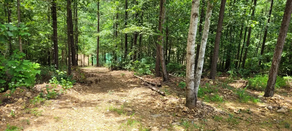 167 Freeman Fielder Rd Stewart, TN 37175
