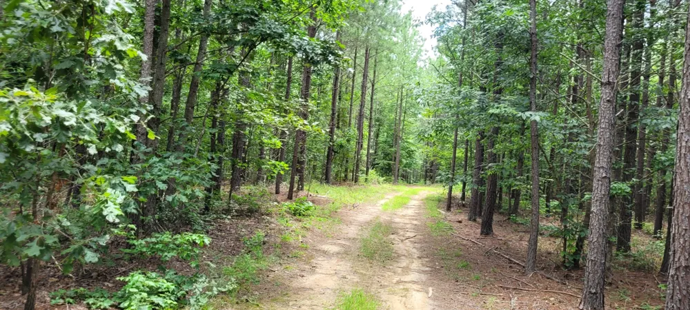 167 Freeman Fielder Rd Stewart, TN 37175