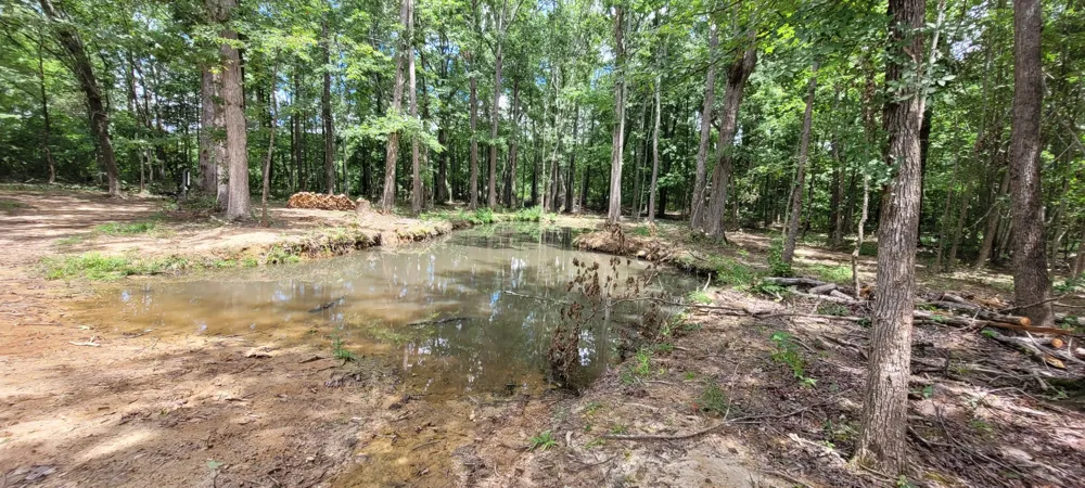 167 Freeman Fielder Rd Stewart, TN 37175