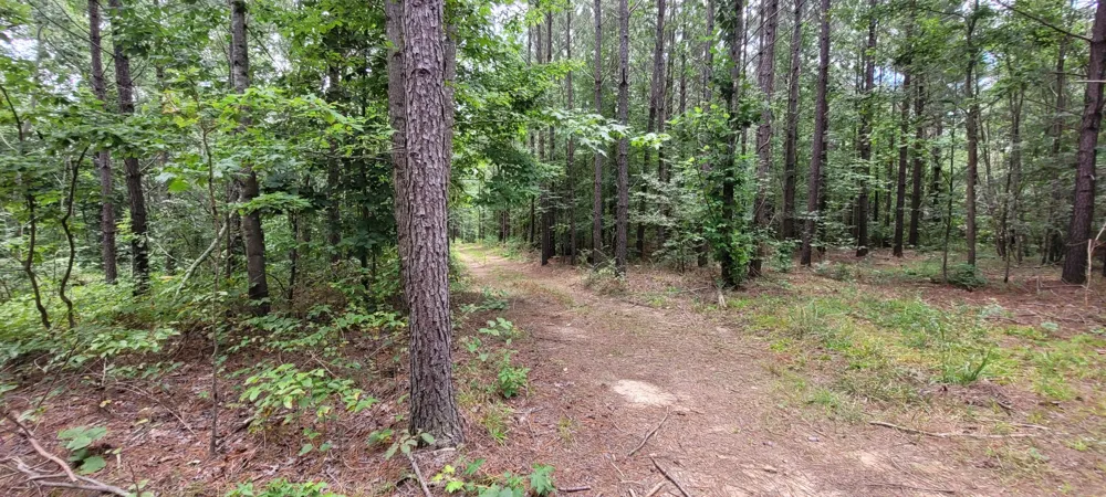 167 Freeman Fielder Rd Stewart, TN 37175
