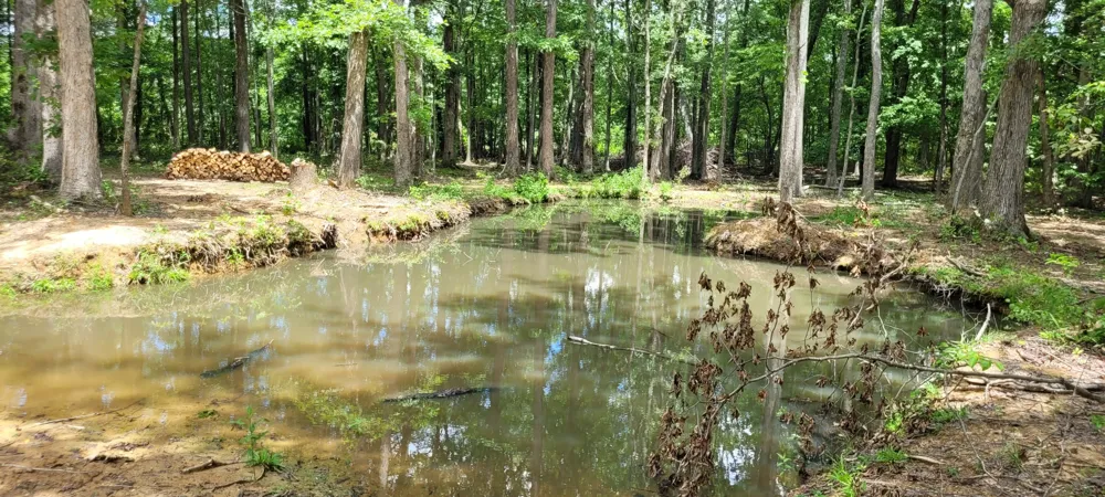 167 Freeman Fielder Rd Stewart, TN 37175