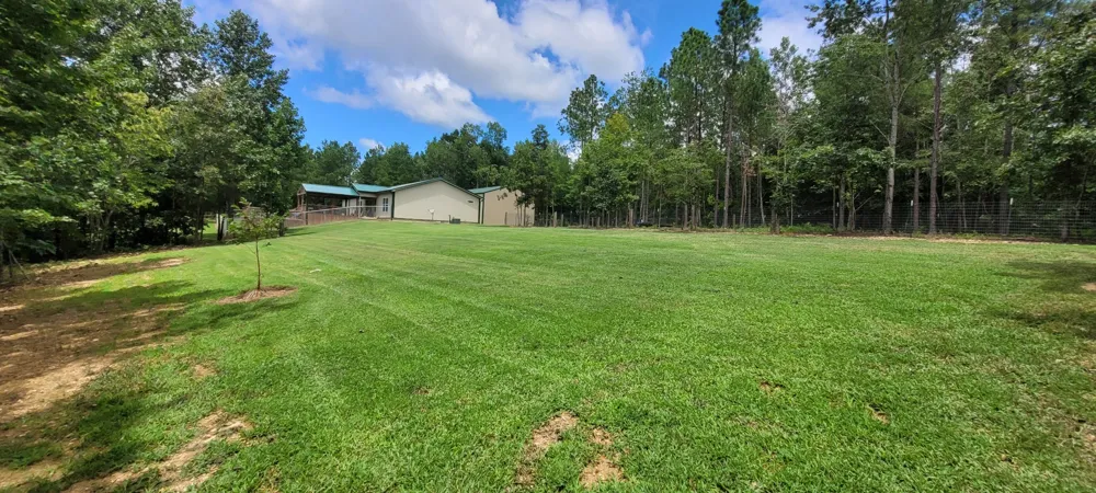 167 Freeman Fielder Rd Stewart, TN 37175