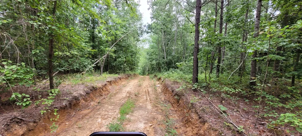 167 Freeman Fielder Rd Stewart, TN 37175