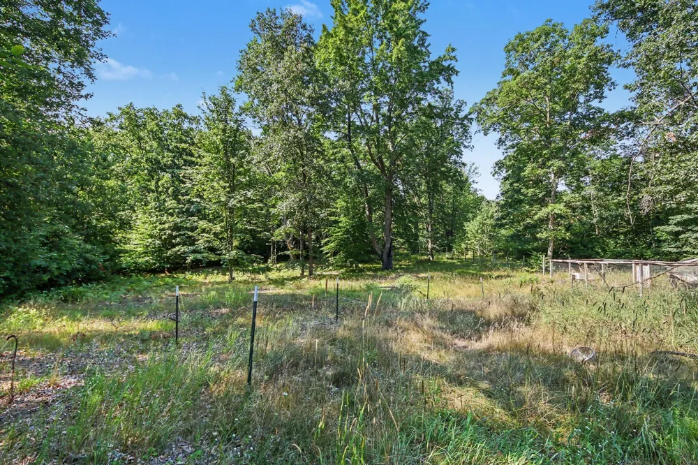 6266 E Hungerford Lake Drive Norwich Township, MI 49307