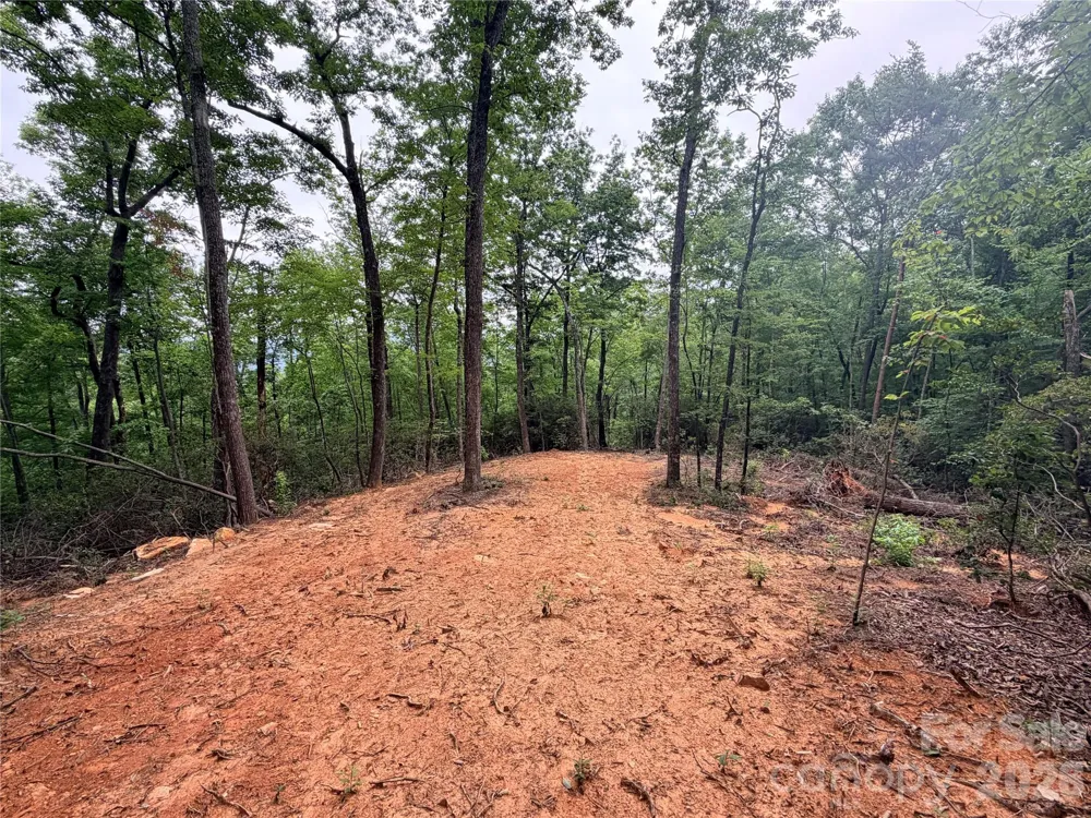 0 Harrison Drive Lake Lure, NC 28746