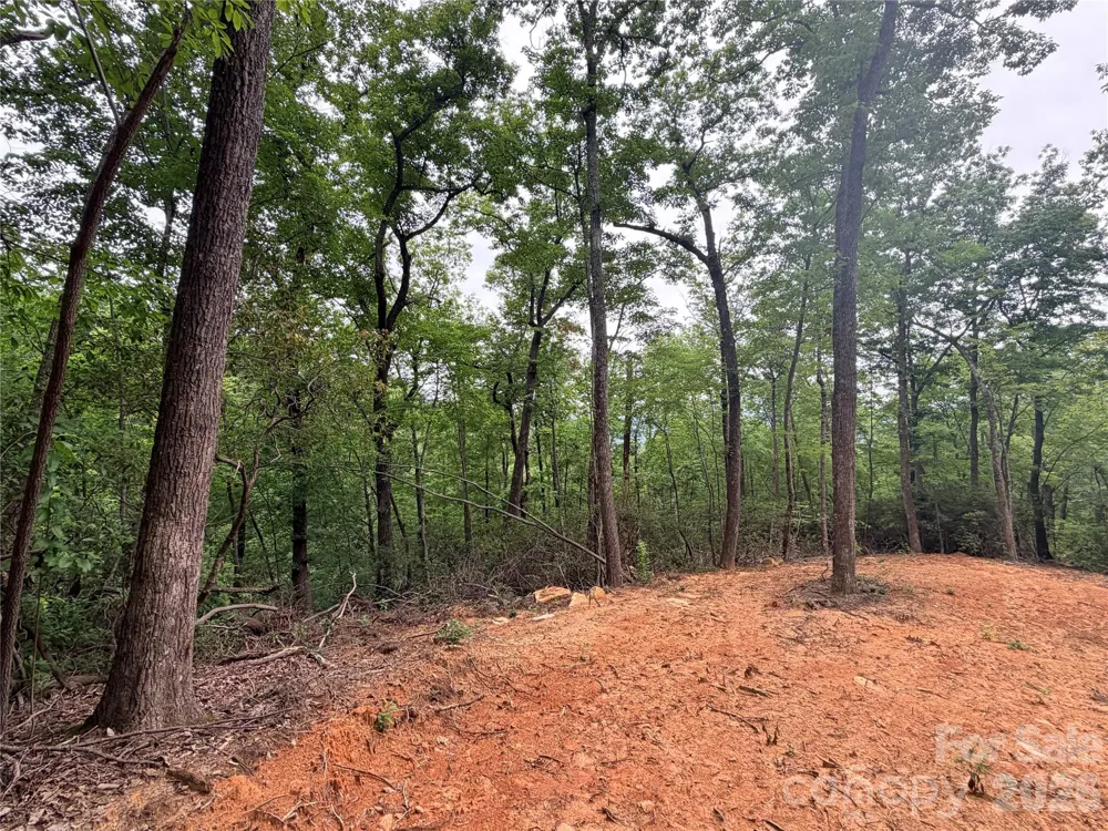 0 Harrison Drive Lake Lure, NC 28746