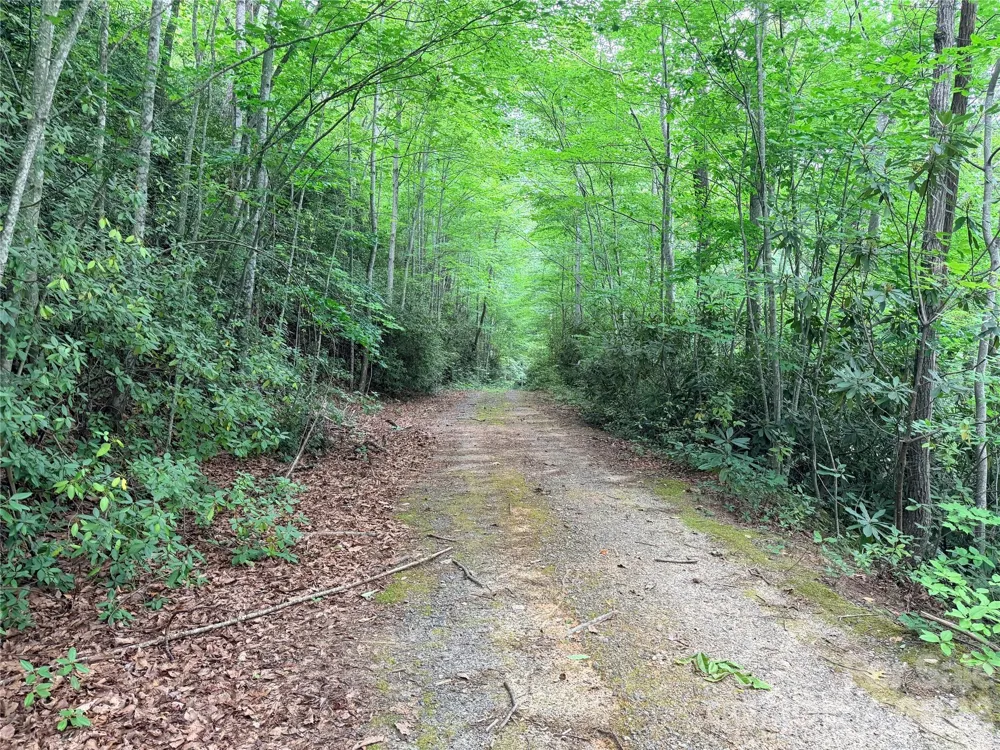 0 Harrison Drive Lake Lure, NC 28746