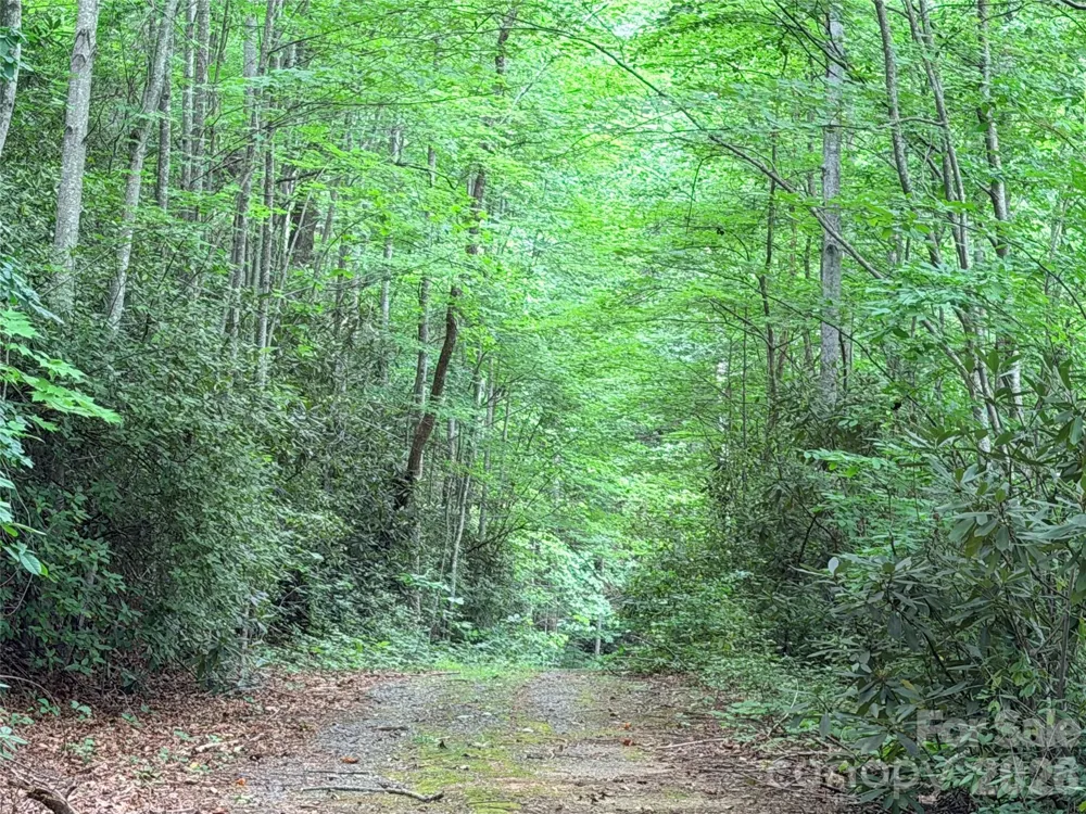 0 Harrison Drive Lake Lure, NC 28746