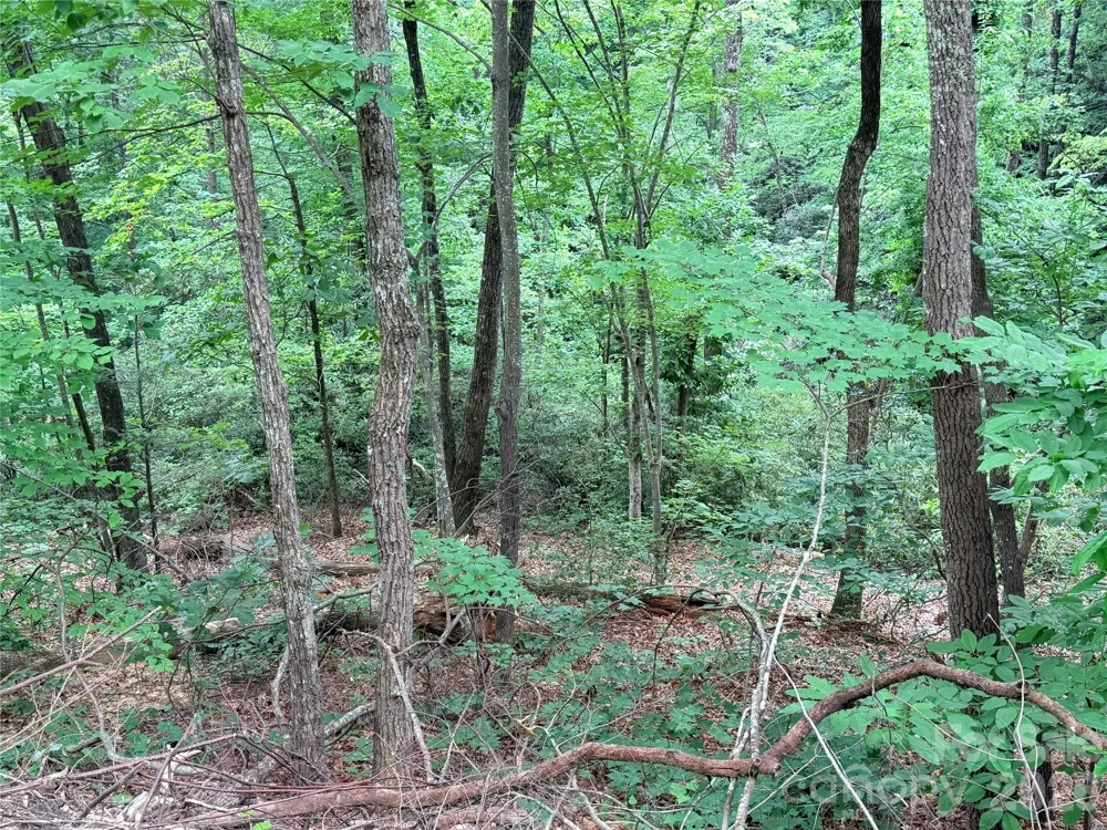 0 Harrison Drive Lake Lure, NC 28746