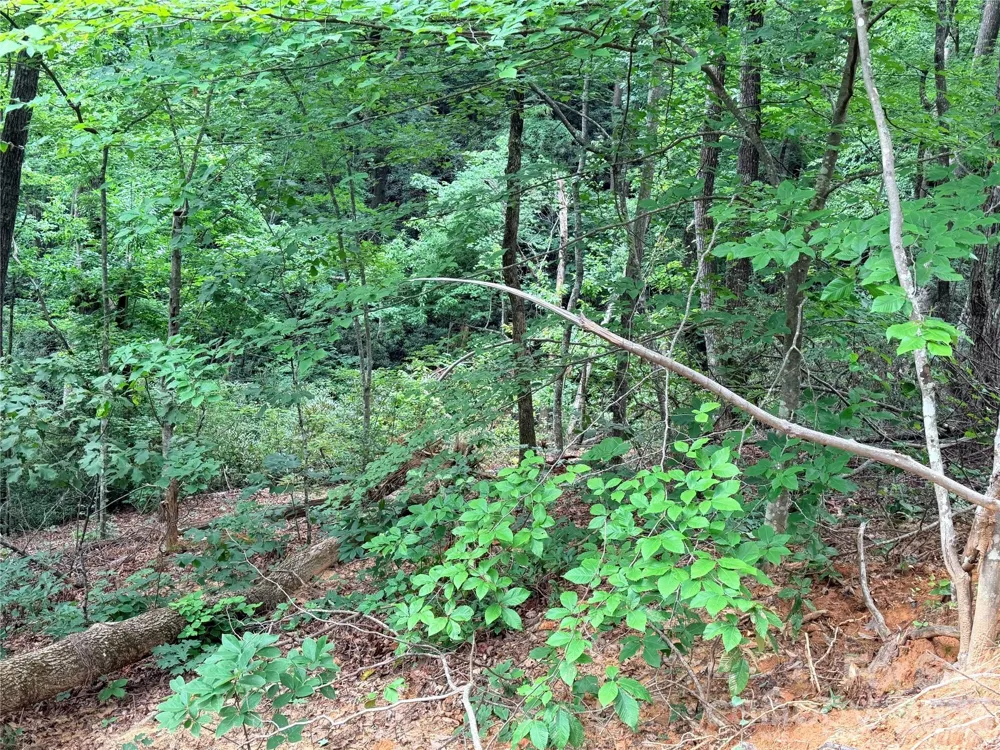 0 Harrison Drive Lake Lure, NC 28746