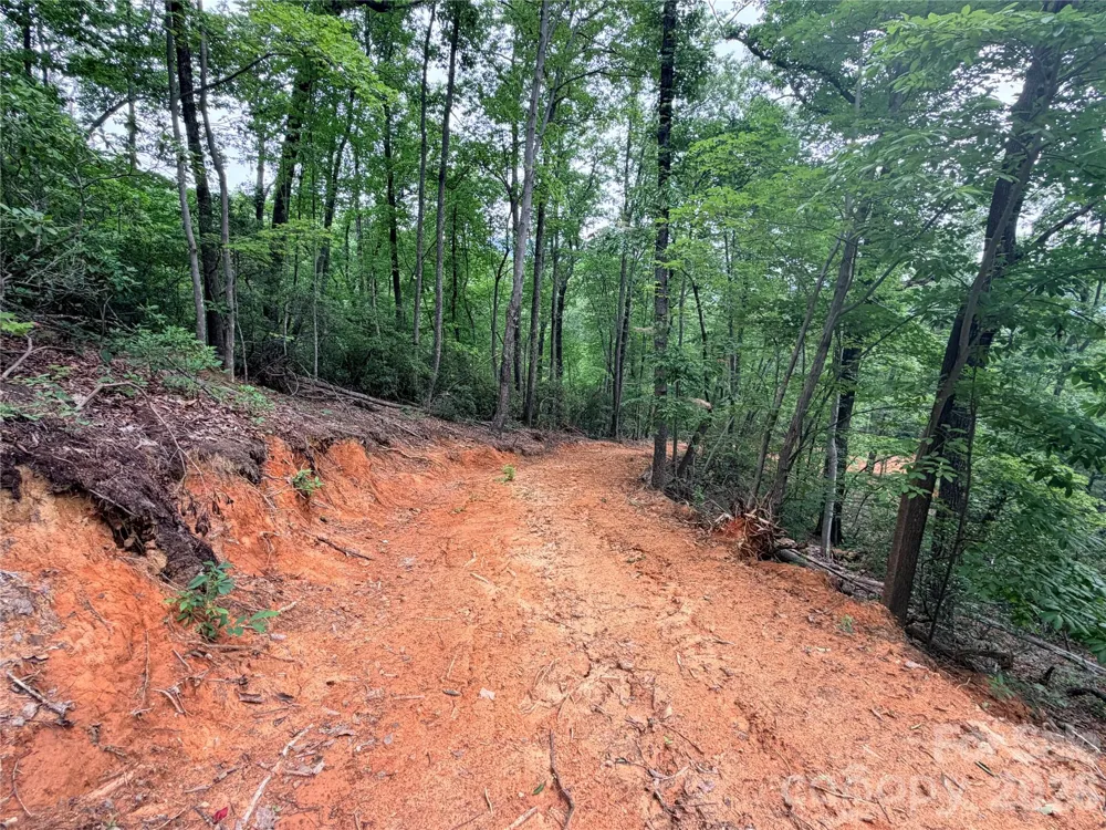 0 Harrison Drive Lake Lure, NC 28746