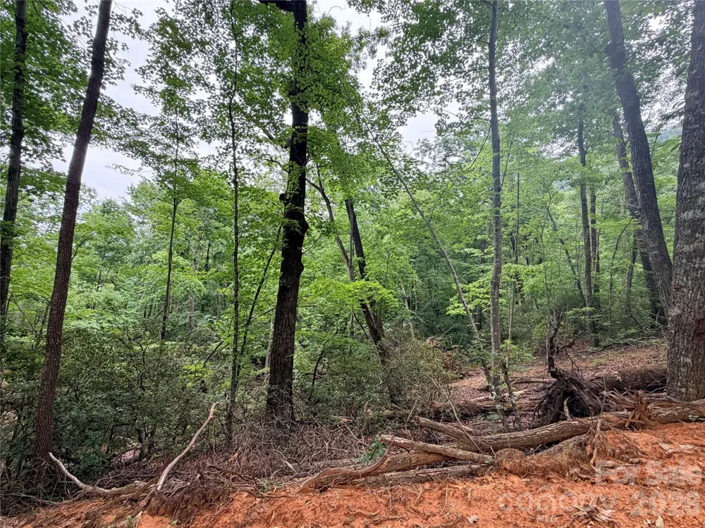 0 Harrison Drive Lake Lure, NC 28746