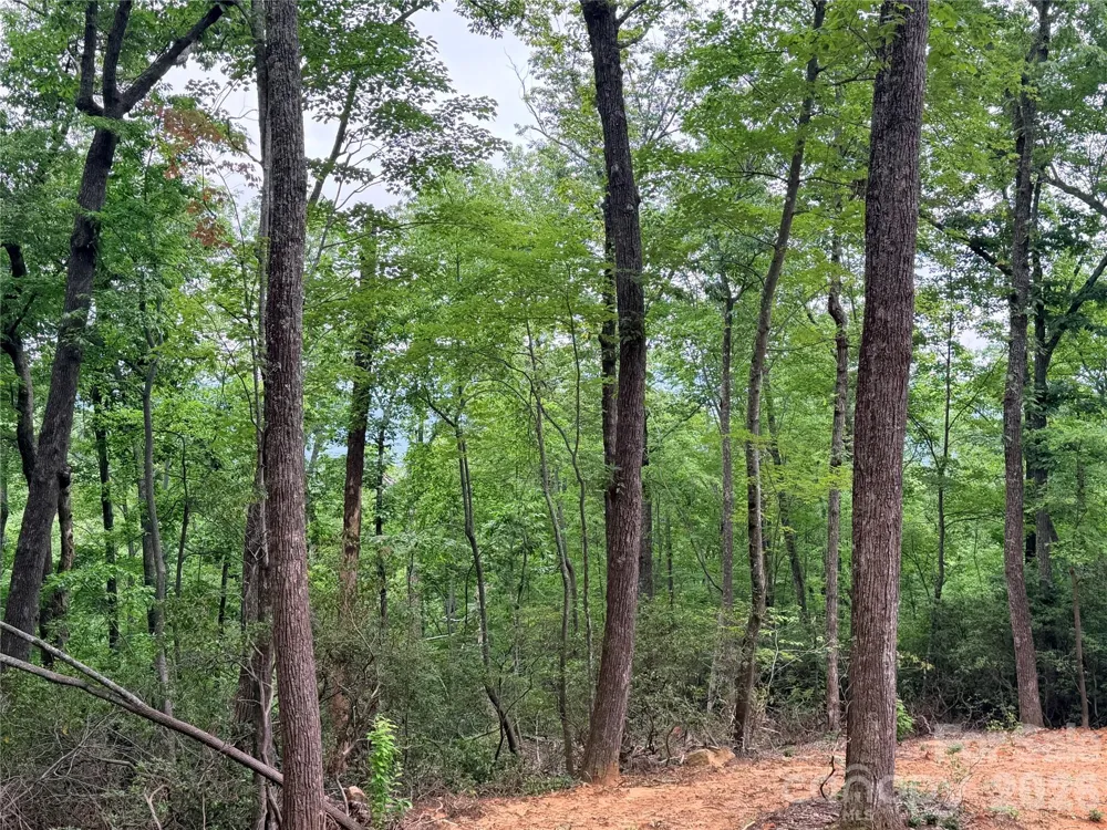 0 Harrison Drive Lake Lure, NC 28746