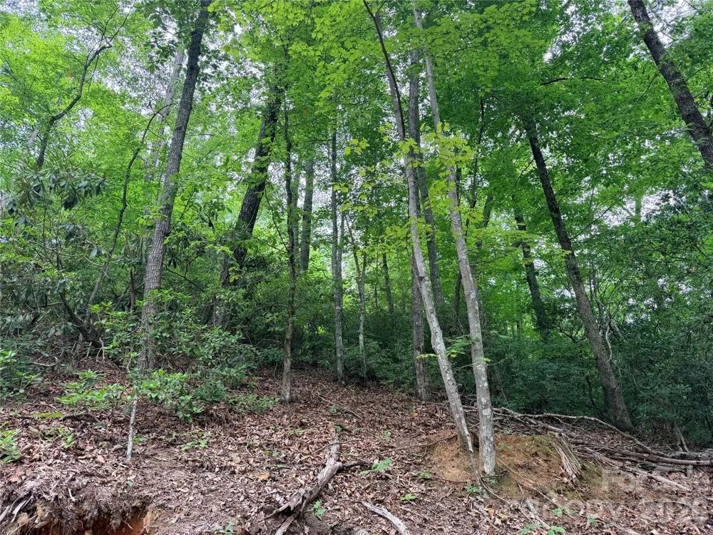 0 Harrison Drive Lake Lure, NC 28746