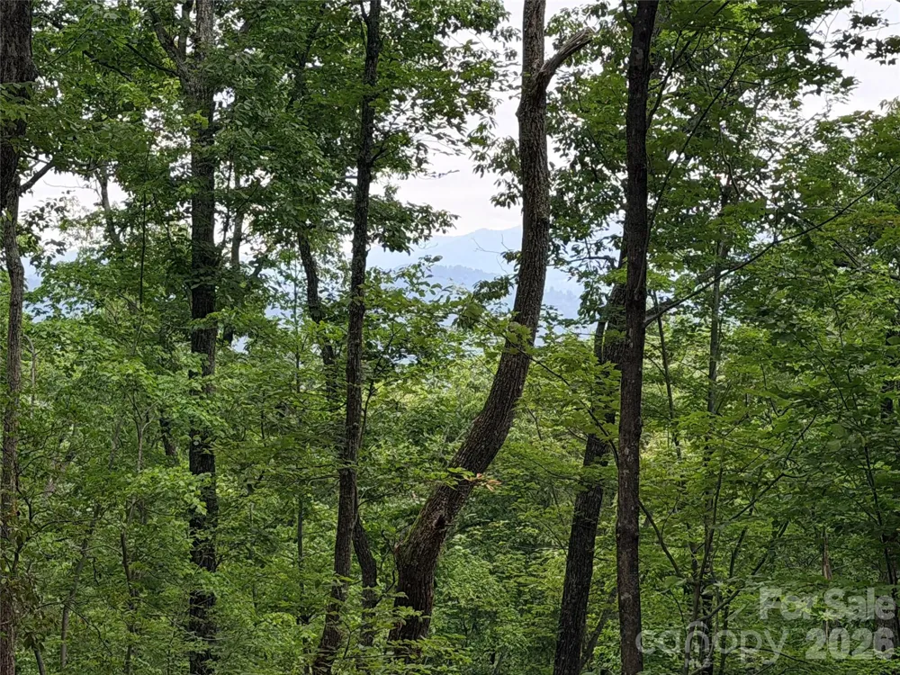 0 Harrison Drive Lake Lure, NC 28746