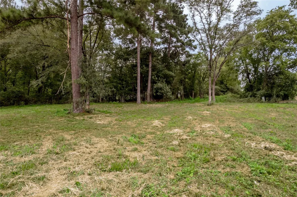 Johnson Street Riverside, TX 77320