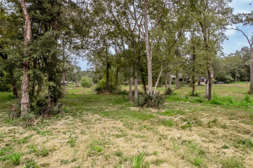 Johnson Street Riverside, TX 77320