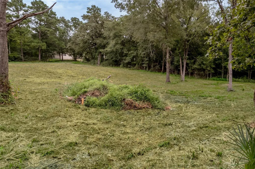 Johnson Street Riverside, TX 77320