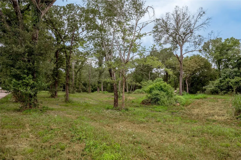 Johnson Street Riverside, TX 77320