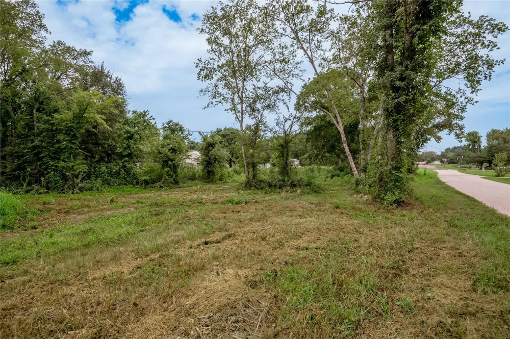 Johnson Street Riverside, TX 77320