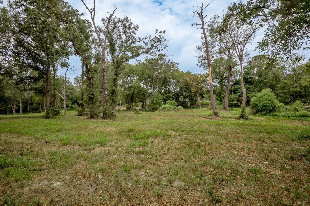 Johnson Street Riverside, TX 77320