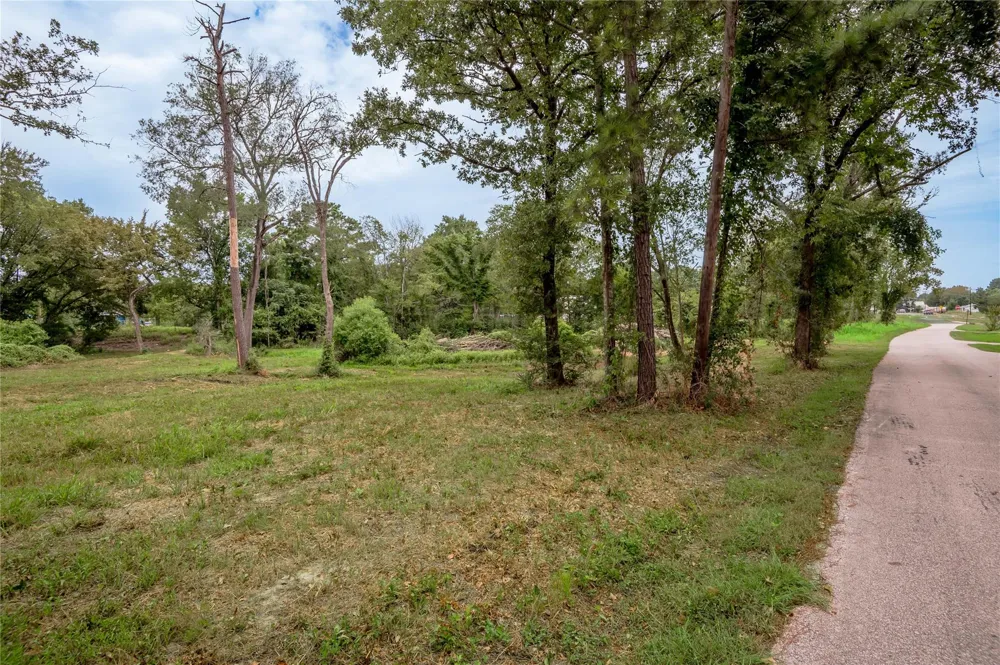 Johnson Street Riverside, TX 77320