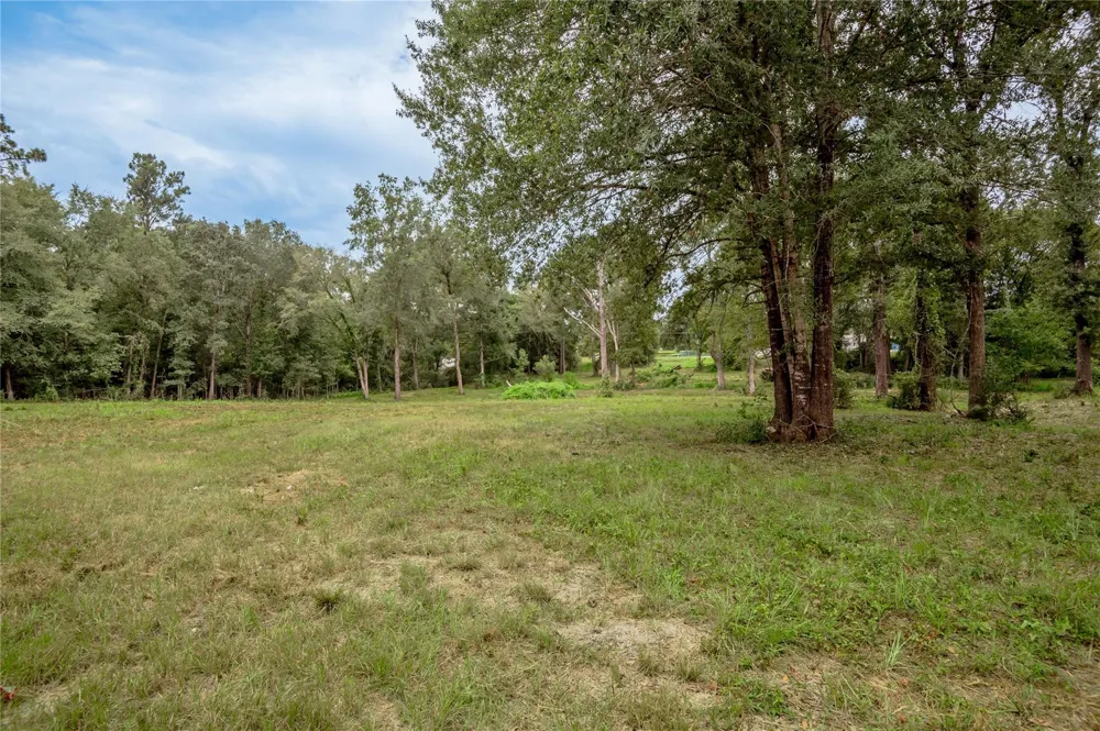 Johnson Street Riverside, TX 77320