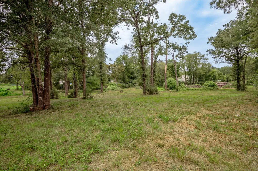 Johnson Street Riverside, TX 77320