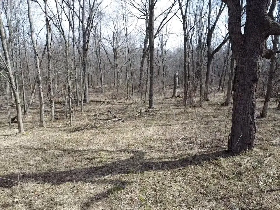 8453 S Durand Road Durand, MI 48429