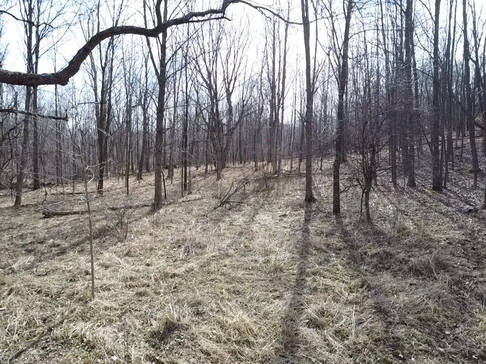 8453 S Durand Road Durand, MI 48429