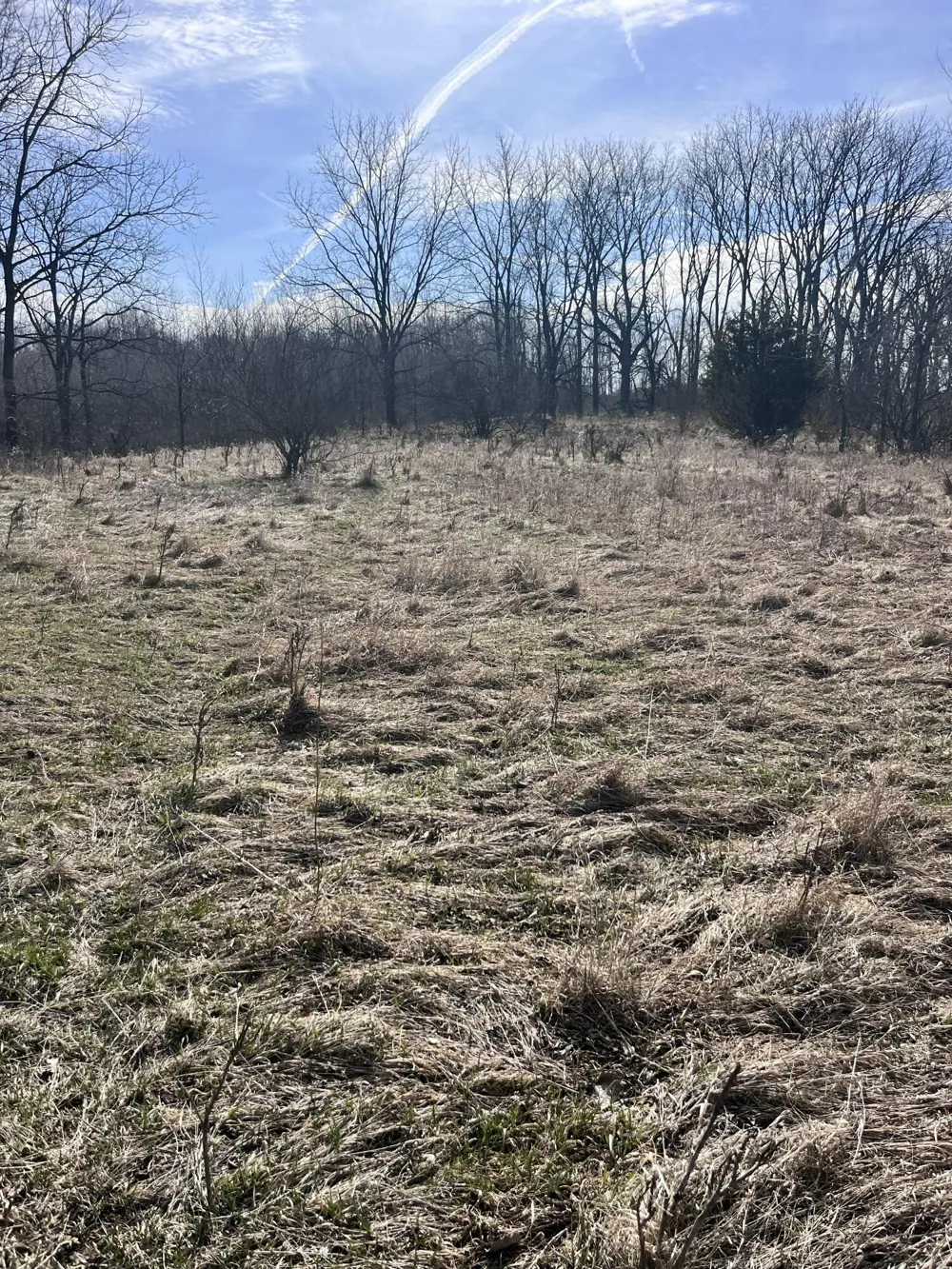 8453 S Durand Road Durand, MI 48429