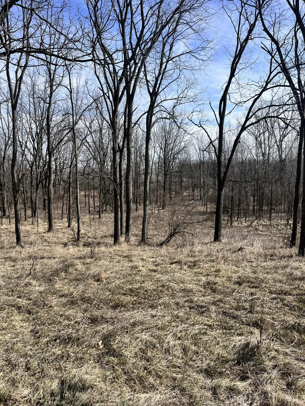 8453 S Durand Road Durand, MI 48429