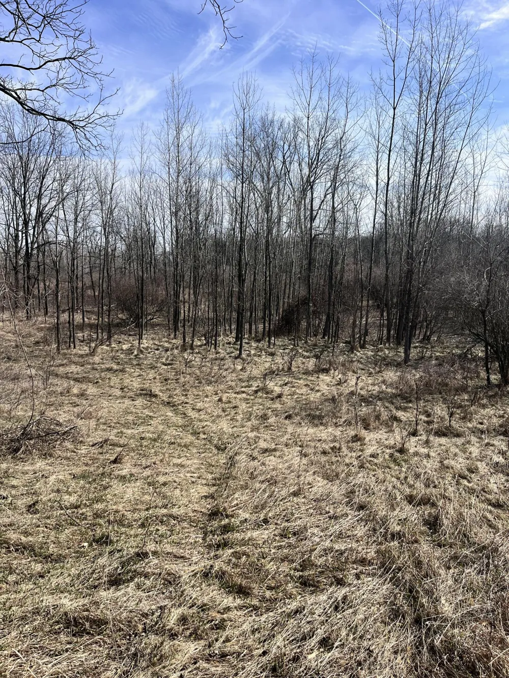 8453 S Durand Road Durand, MI 48429